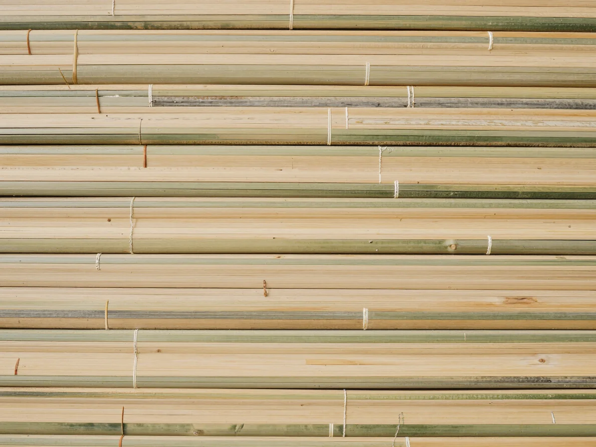 Detail photograph of a bamboo frame temple with visible longitudi